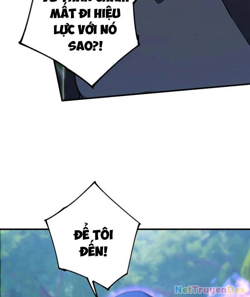 Ảo Ma! Ta Mở Lớp Huấn Luyện Nữ Đế! Chapter 65 - Trang 2