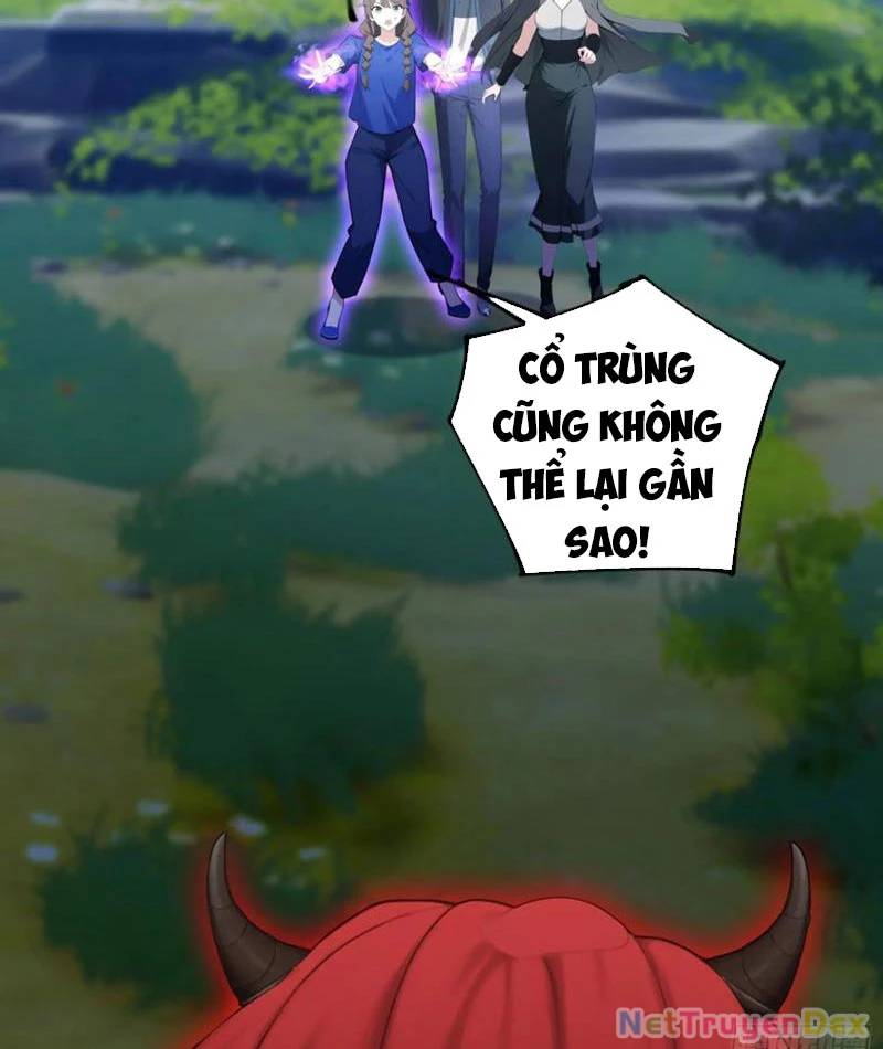 Ảo Ma! Ta Mở Lớp Huấn Luyện Nữ Đế! Chapter 65 - Trang 2