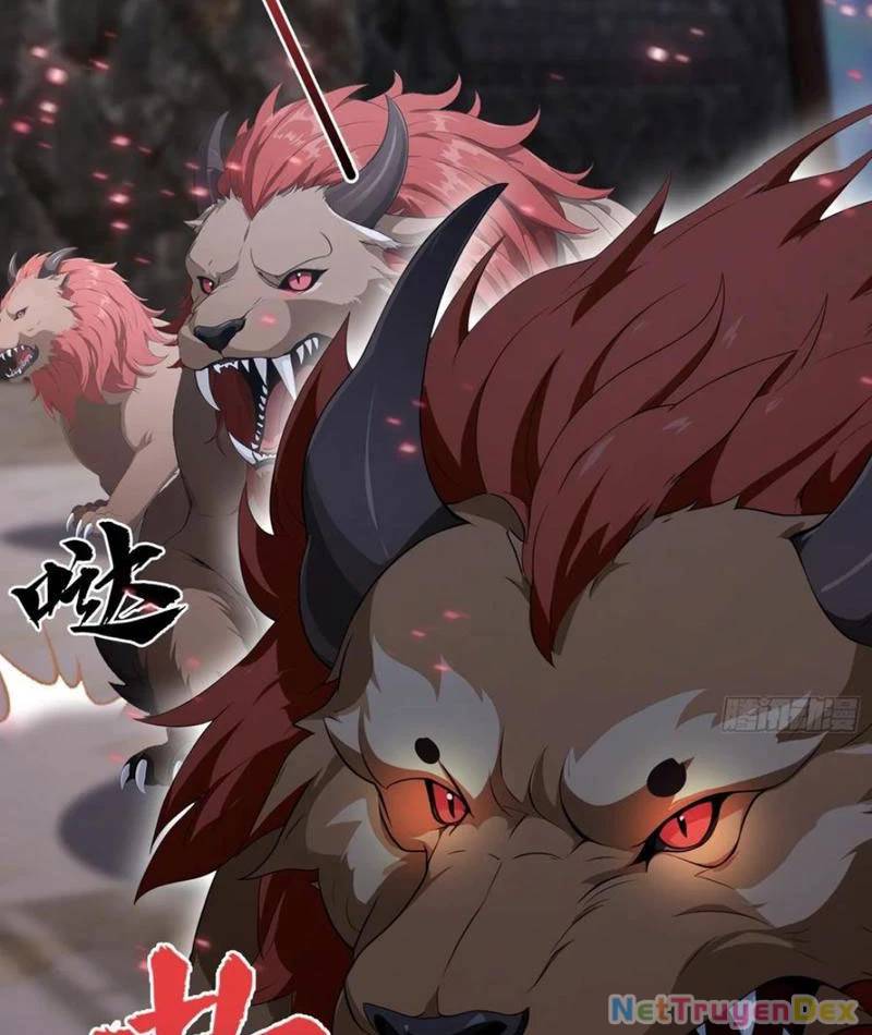 Ảo Ma! Ta Mở Lớp Huấn Luyện Nữ Đế! Chapter 65 - Trang 2