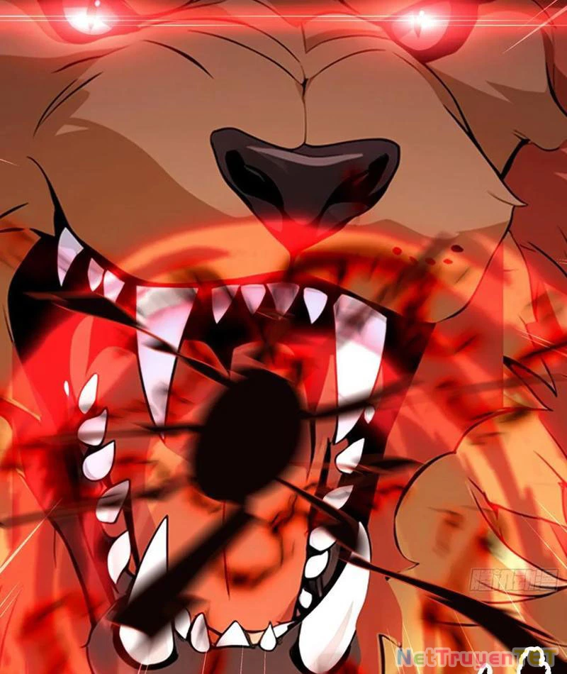 Ảo Ma! Ta Mở Lớp Huấn Luyện Nữ Đế! Chapter 67 - Trang 2