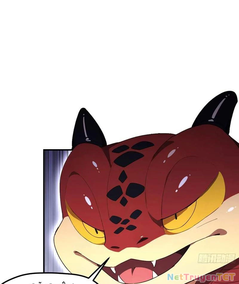 Ảo Ma! Ta Mở Lớp Huấn Luyện Nữ Đế! Chapter 72 - Trang 2