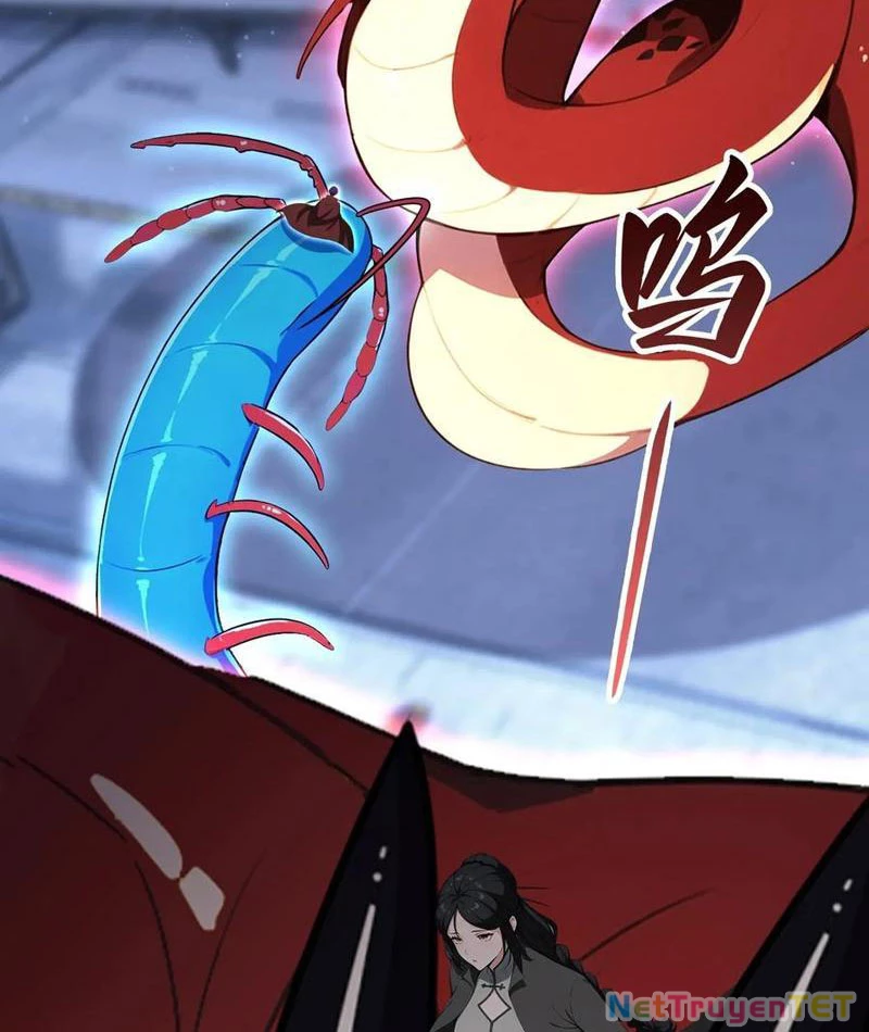 Ảo Ma! Ta Mở Lớp Huấn Luyện Nữ Đế! Chapter 72 - Trang 2