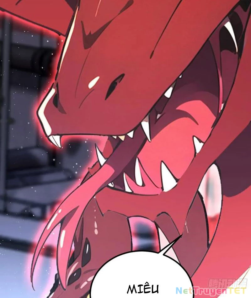 Ảo Ma! Ta Mở Lớp Huấn Luyện Nữ Đế! Chapter 72 - Trang 2