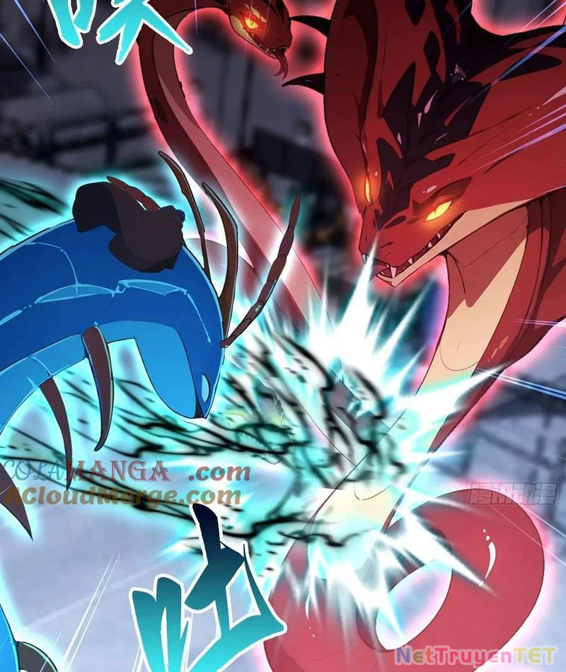 Ảo Ma! Ta Mở Lớp Huấn Luyện Nữ Đế! Chapter 72 - Trang 2