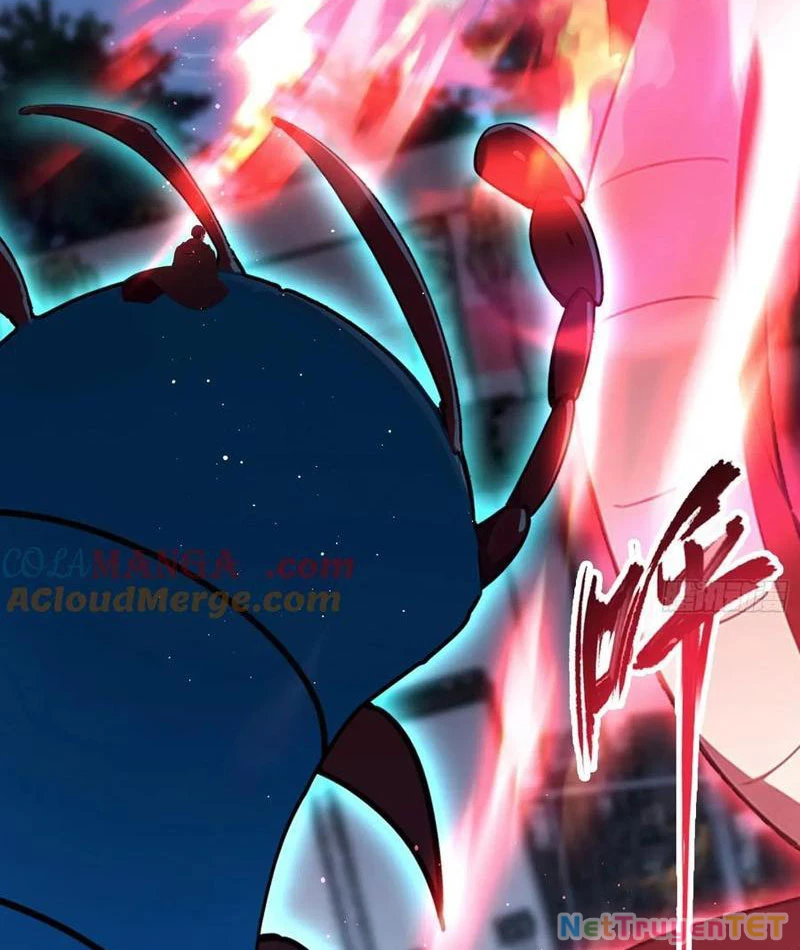 Ảo Ma! Ta Mở Lớp Huấn Luyện Nữ Đế! Chapter 72 - Trang 2