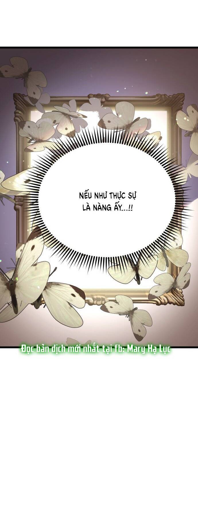 Ảo Thuật Gia Quyến Rũ Chapter 13.1 - Trang 2