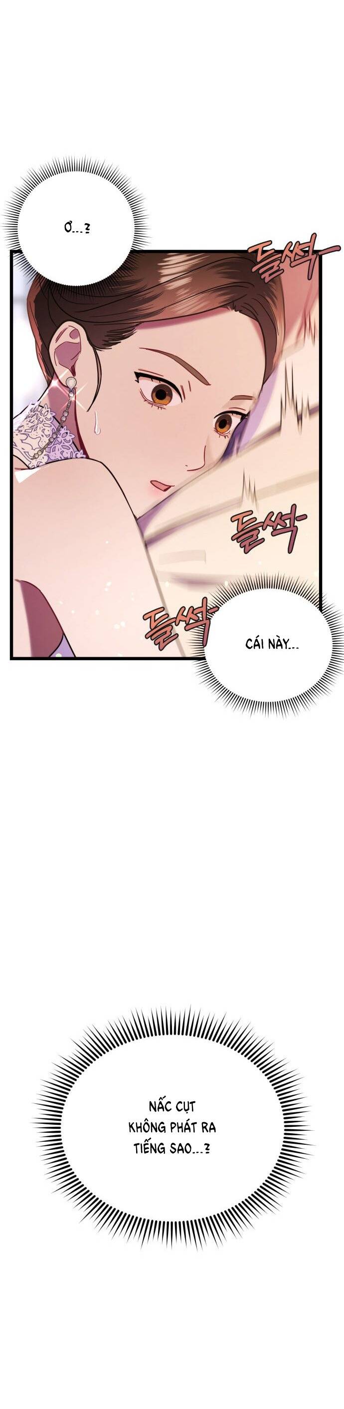 Ảo Thuật Gia Quyến Rũ Chapter 13.2 - Trang 2