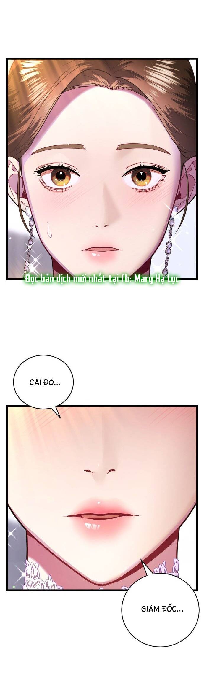 Ảo Thuật Gia Quyến Rũ Chapter 13.2 - Trang 2