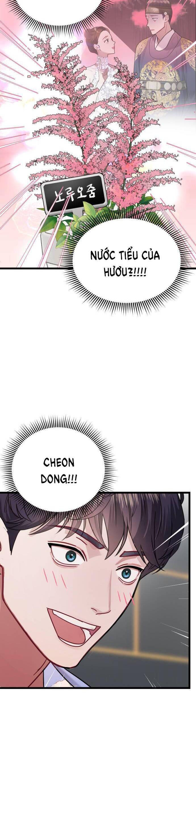 Ảo Thuật Gia Quyến Rũ Chapter 21.1 - Trang 2