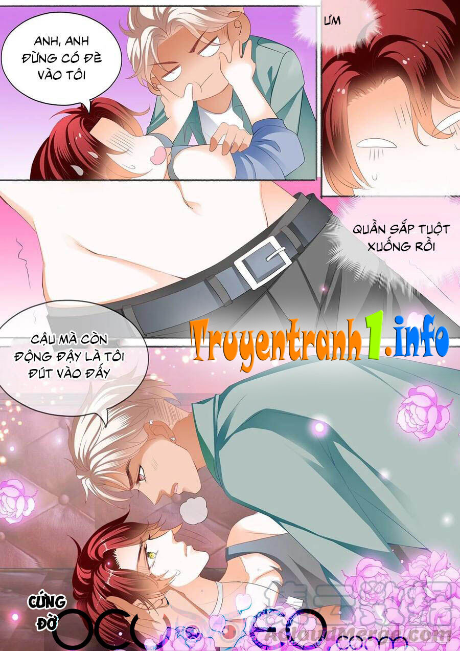 Bá Đạo Tiểu Thúc, Xin Trêu Chọc Vừa Thôi! Chapter 155 - Trang 2