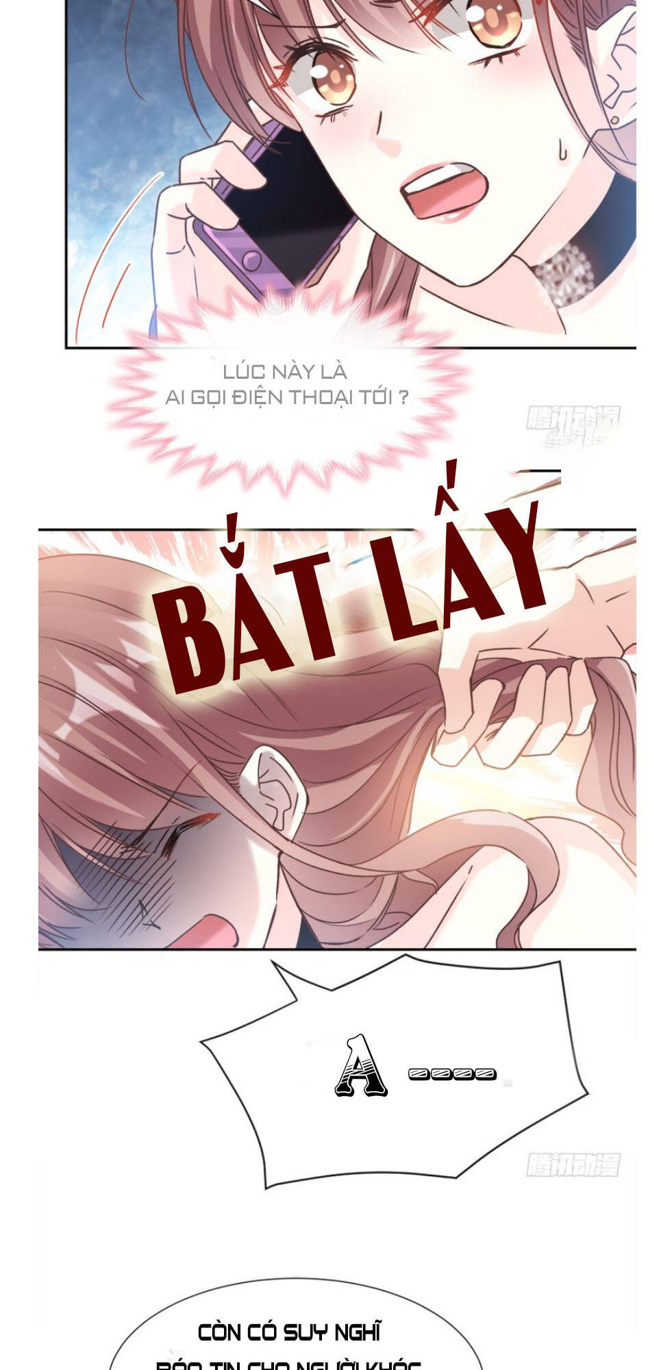 Bá Đạo Tổng Tài Nhẹ Nhàng Yêu Chapter 11 - Trang 2