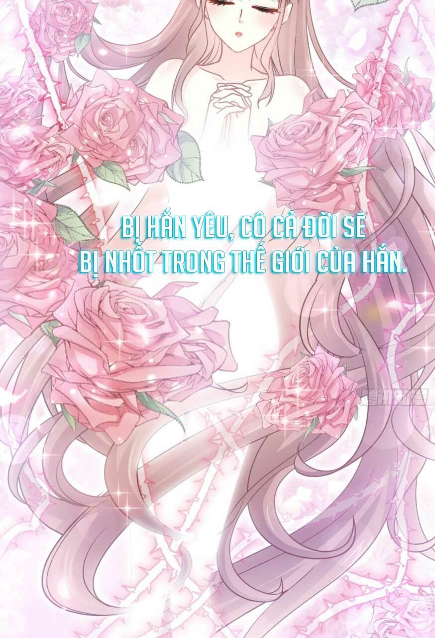 Bá Đạo Tổng Tài Nhẹ Nhàng Yêu Chapter 117.2 - Trang 2