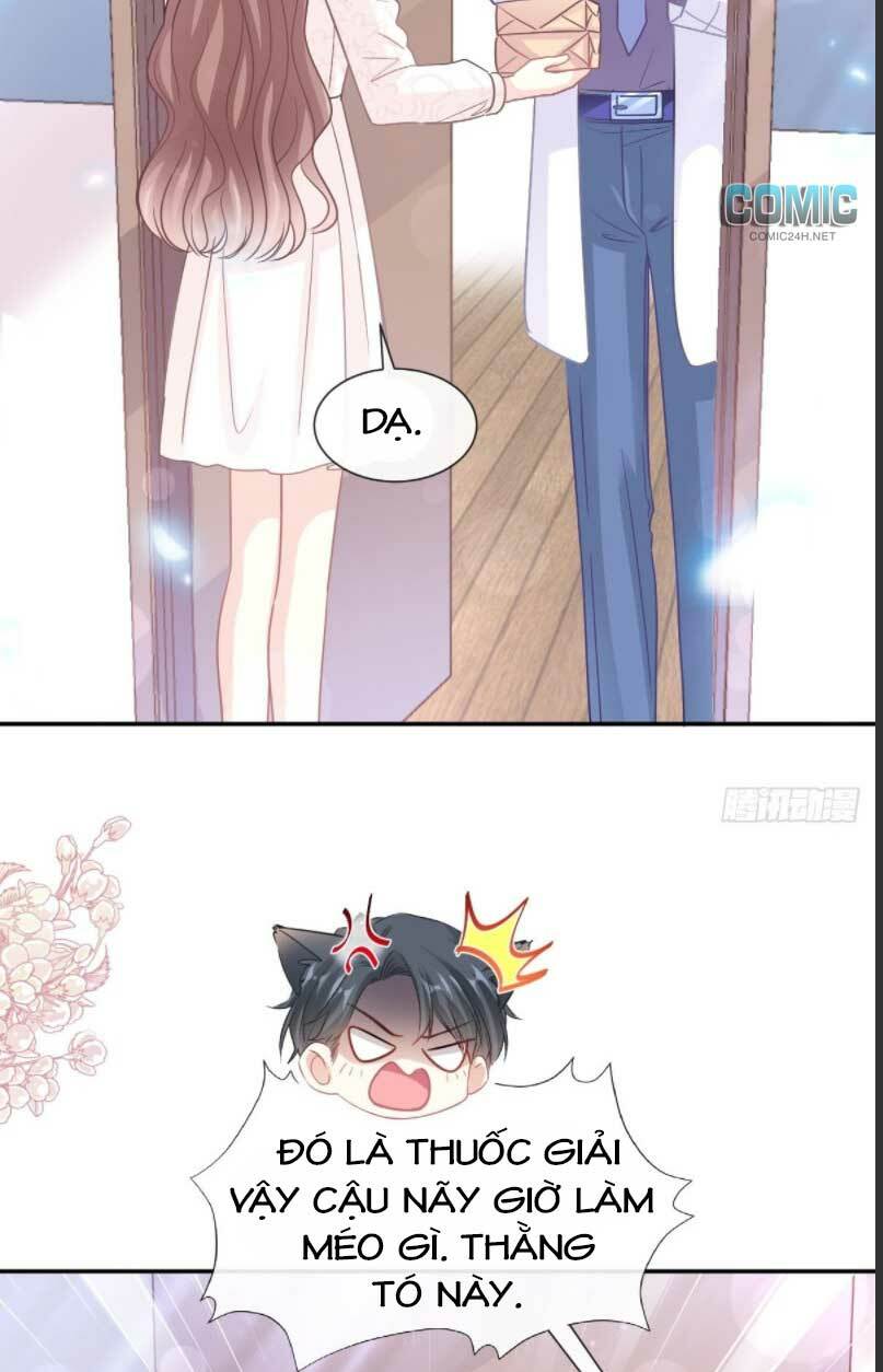 Bá Đạo Tổng Tài Nhẹ Nhàng Yêu Chapter 151.1 - Trang 2