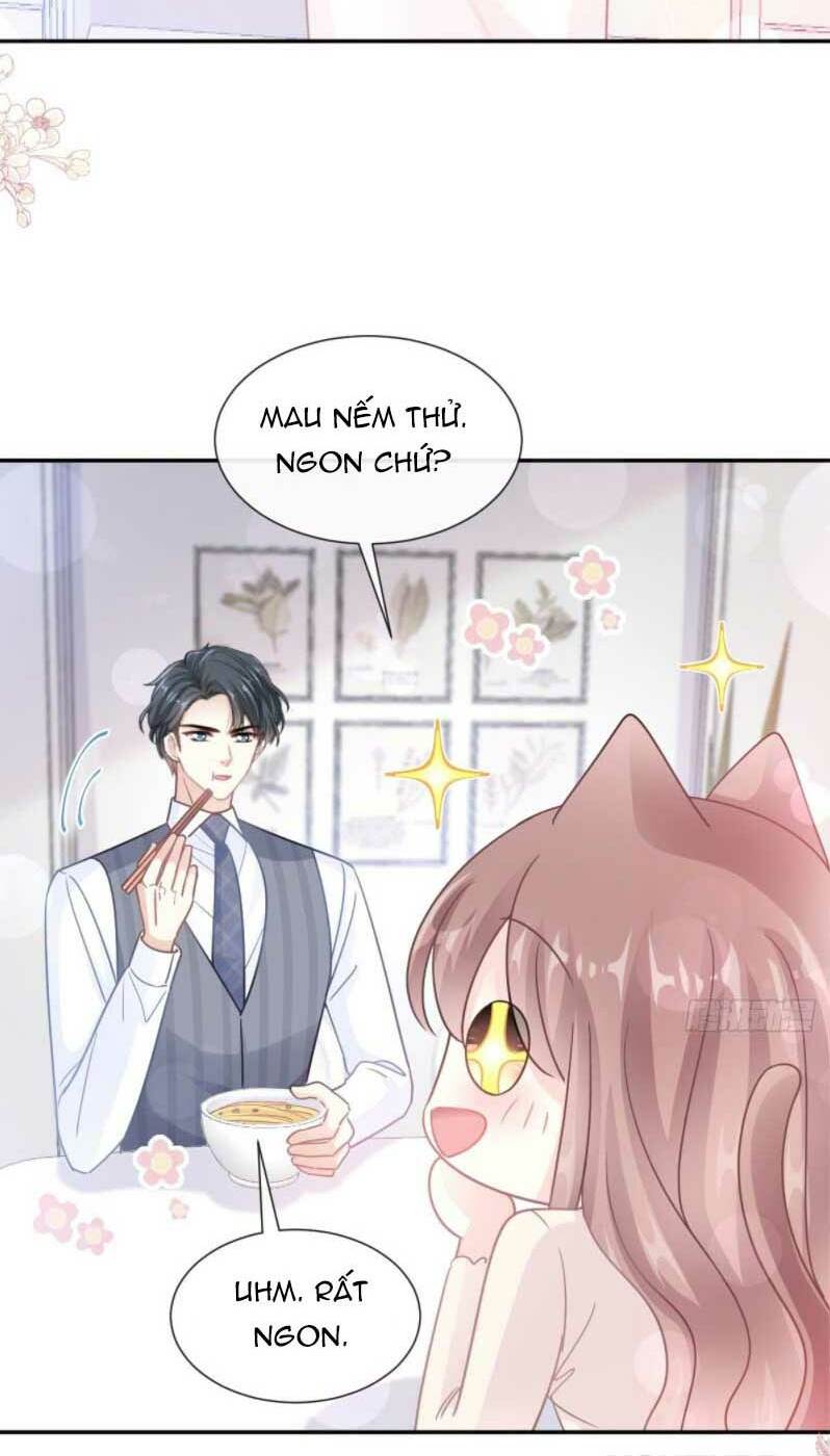 Bá Đạo Tổng Tài Nhẹ Nhàng Yêu Chapter 186.1 - Trang 2