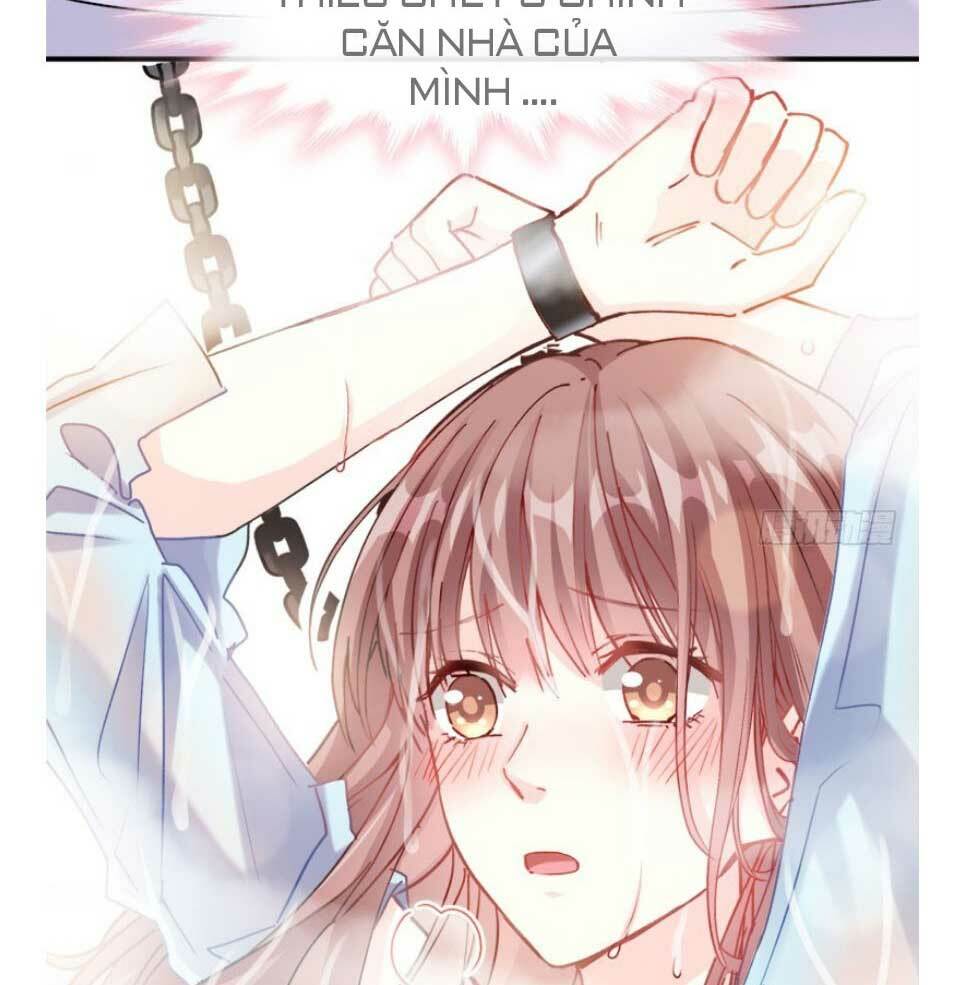 Bá Đạo Tổng Tài Nhẹ Nhàng Yêu Chapter 2 - Trang 2