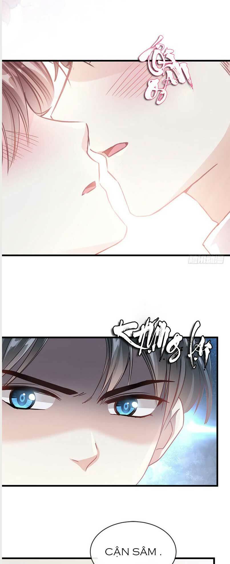 Bá Đạo Tổng Tài Nhẹ Nhàng Yêu Chapter 29.1 - Trang 2