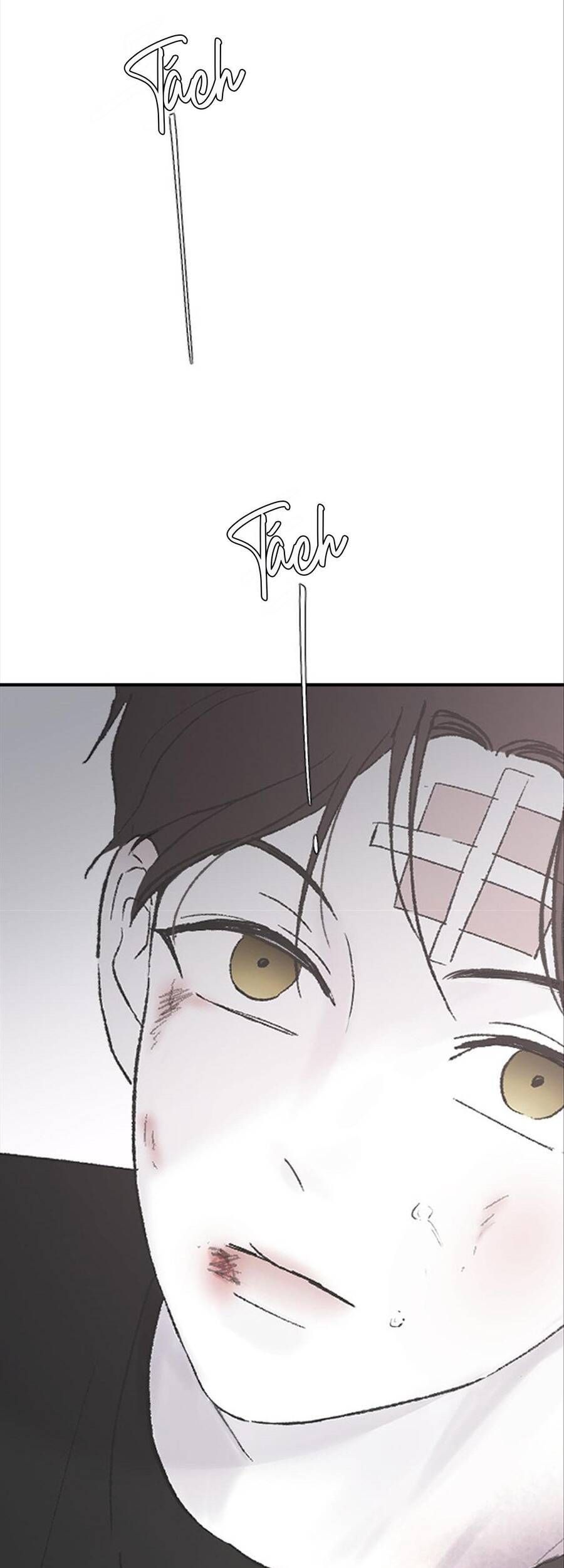 Ba Người Anh Trai Của Tôi Là Bạo Quân Chapter 53 - Trang 2