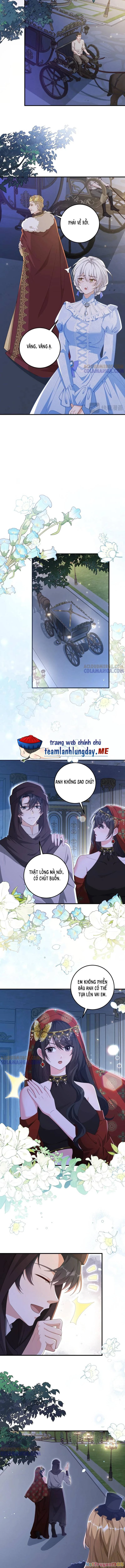 Ba Ông Anh Quyền Lực Của Tôi Chapter 33 - Trang 2
