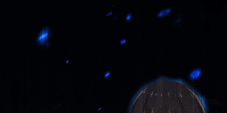 Ba Tôi Là Chiến Thần Chapter 16 - Trang 2