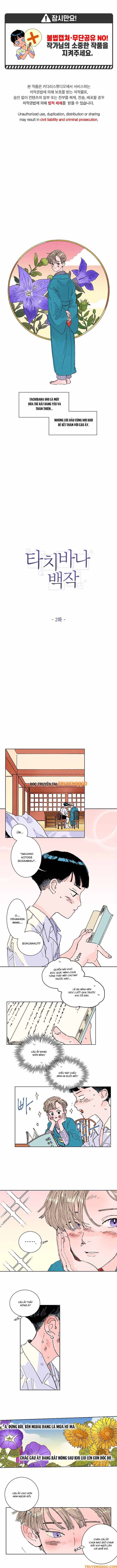 Bá Tước Tachibana Chapter 2 - Trang 2