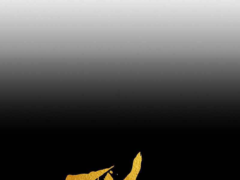 Bá Vương Chi Tinh Chapter 6 - Trang 2