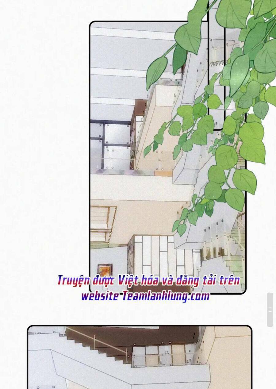 Bá Vương Sủng Ái Cô Vợ Mù Chapter 19 - Trang 2