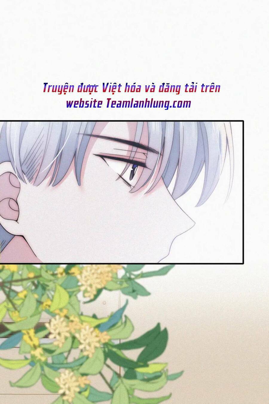 Bá Vương Sủng Ái Cô Vợ Mù Chapter 19 - Trang 2