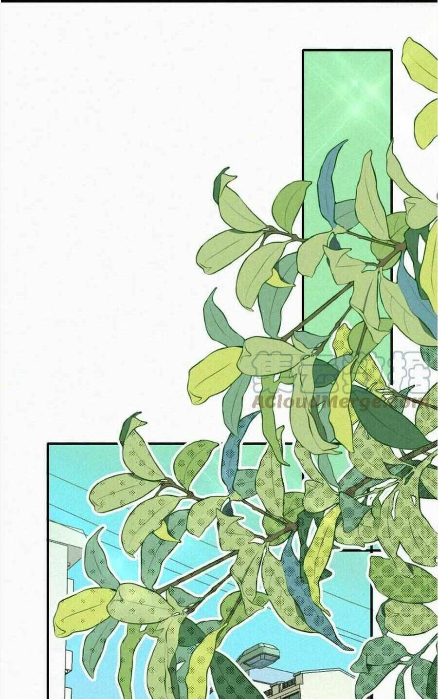 Bá Vương Sủng Ái Cô Vợ Mù Chapter 24 - Trang 2