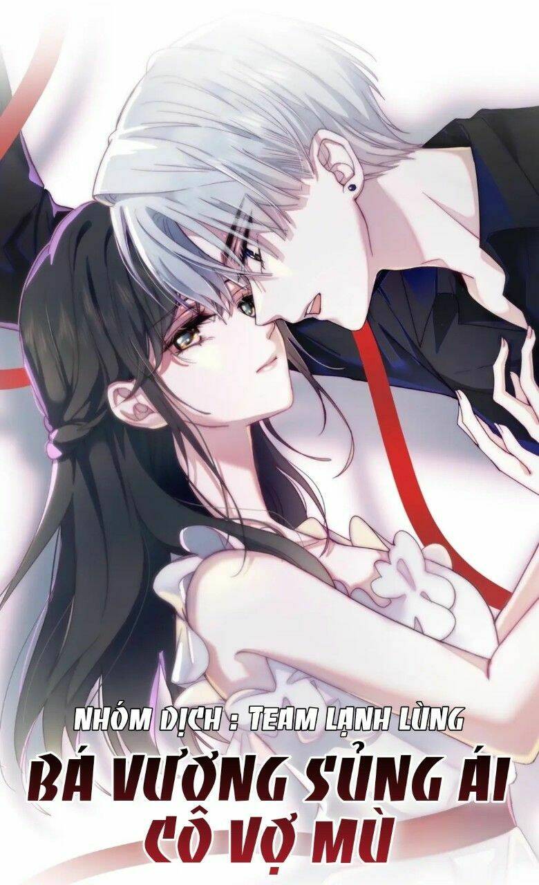 Bá Vương Sủng Ái Cô Vợ Mù Chapter 3 - Trang 2