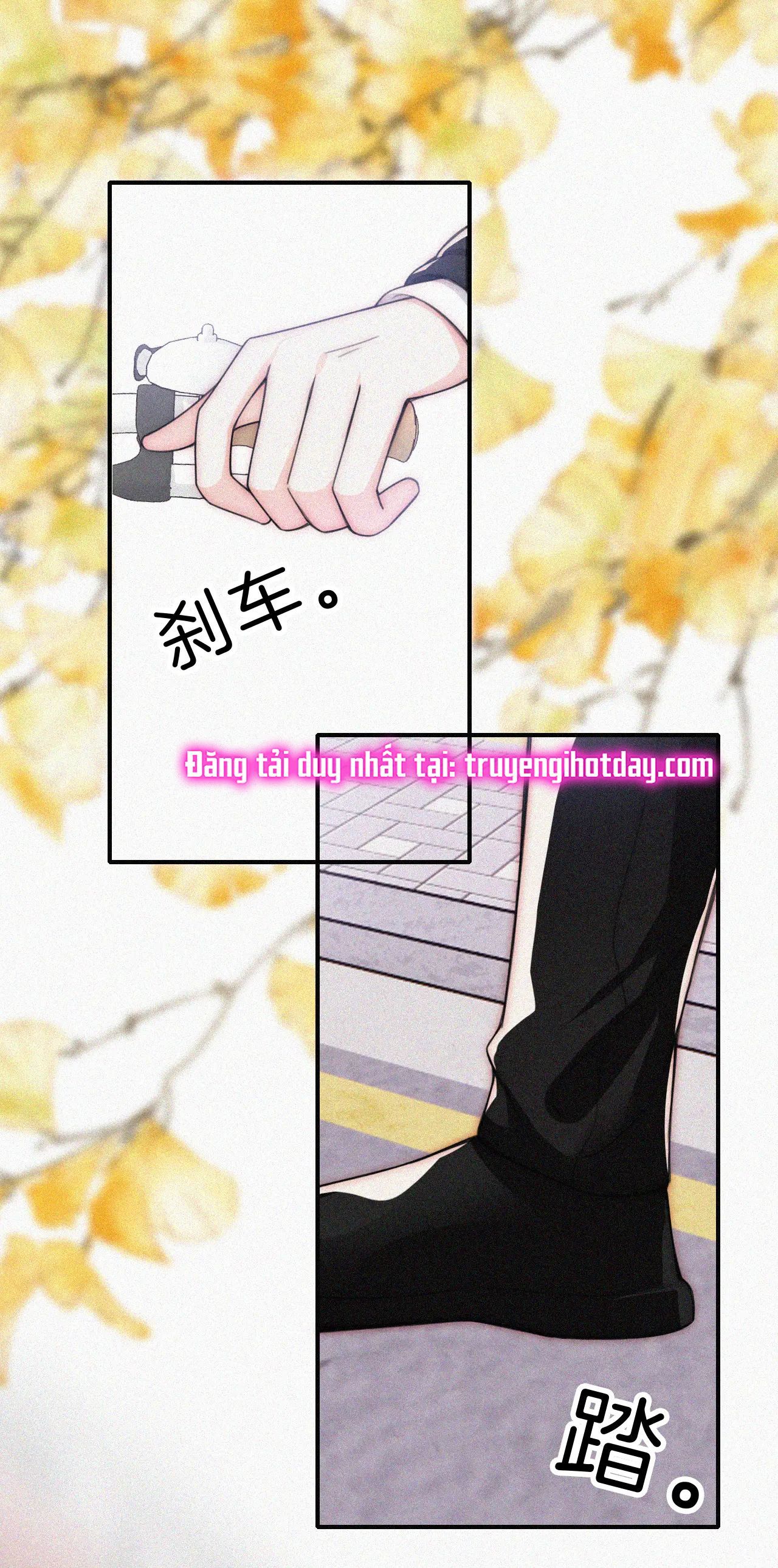 Bá Vương Sủng Ái Cô Vợ Mù Chapter 50.2 - Trang 2