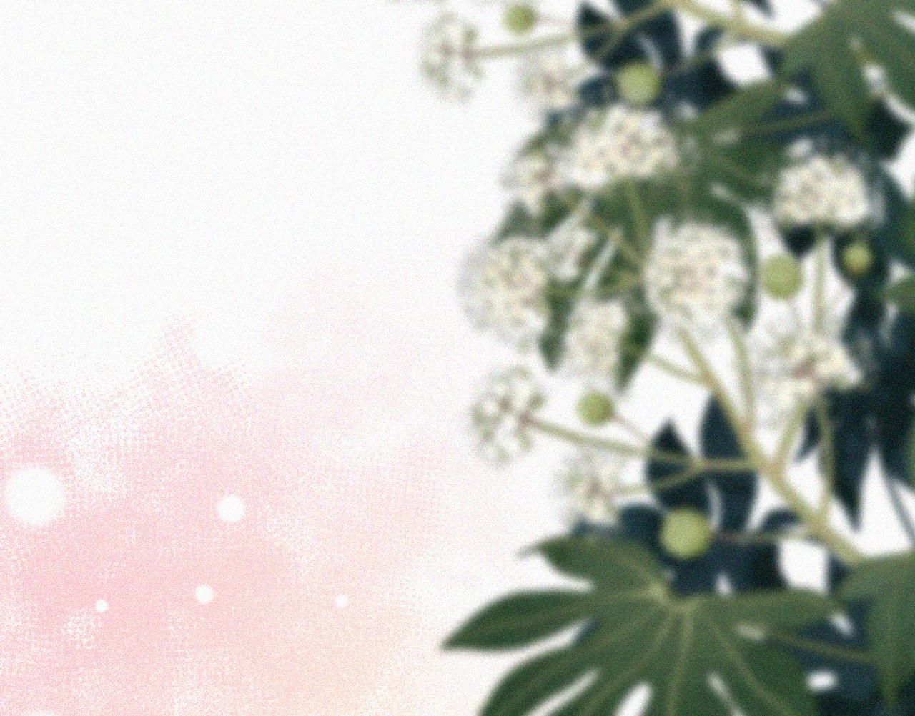 Bá Vương Sủng Ái Cô Vợ Mù Chapter 78.2 - Trang 2