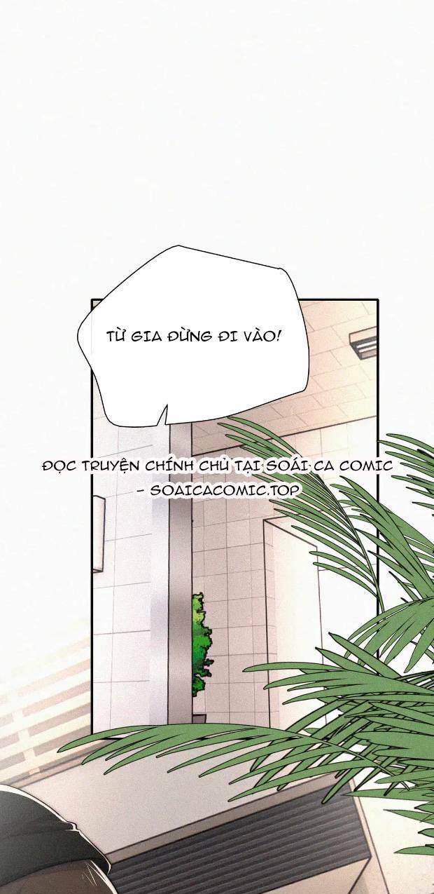 Bá Vương Sủng Ái Cô Vợ Mù Chapter 82 - Trang 2