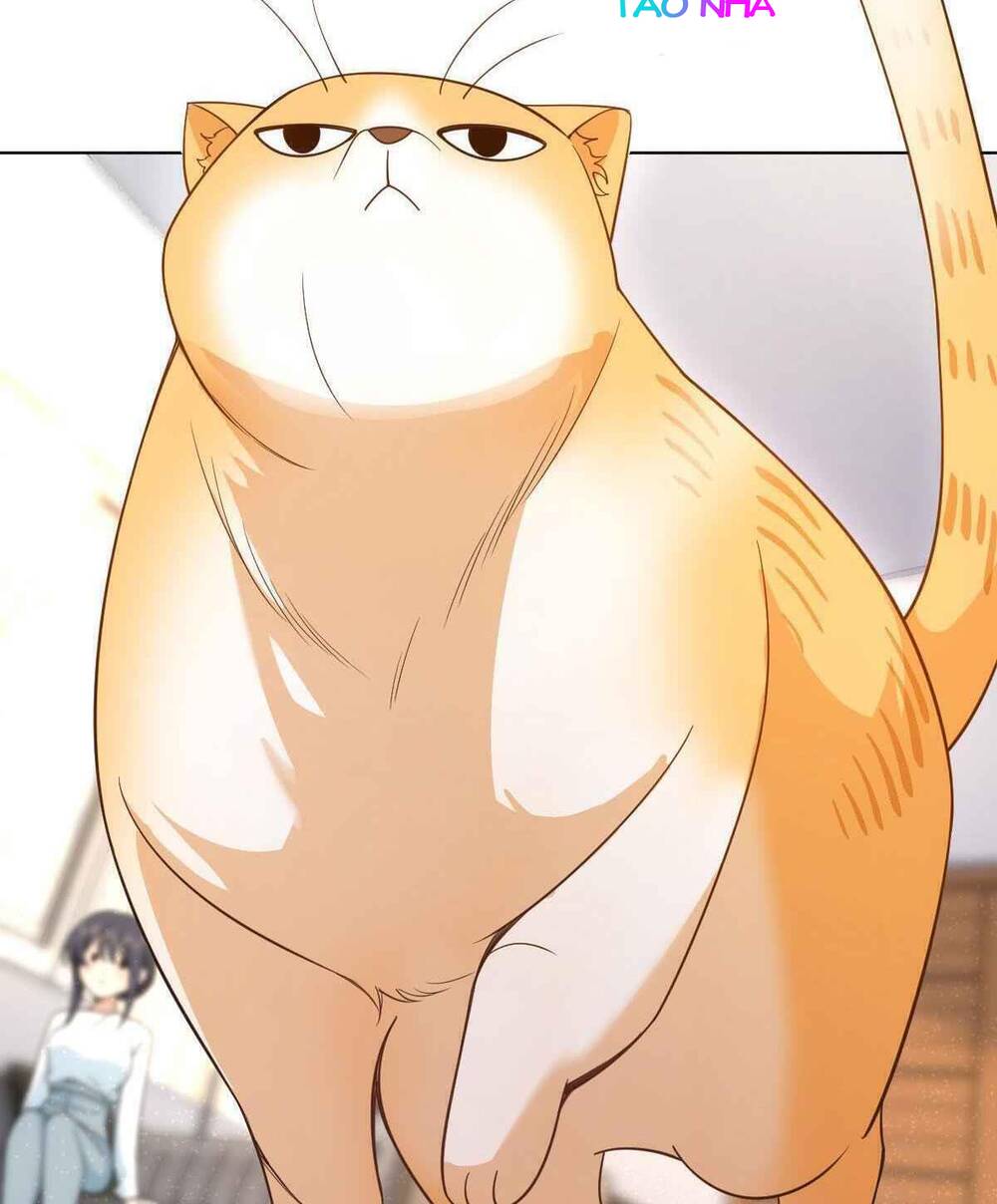 Bà Xã Nhà Tôi Đến Từ Ngàn Năm Trước Chapter 112 - Trang 2