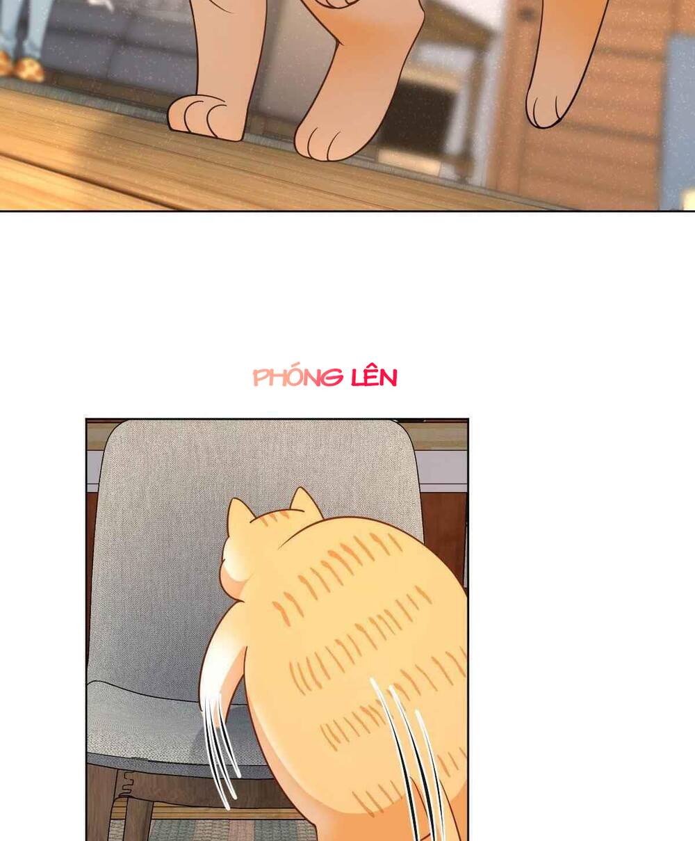 Bà Xã Nhà Tôi Đến Từ Ngàn Năm Trước Chapter 112 - Trang 2