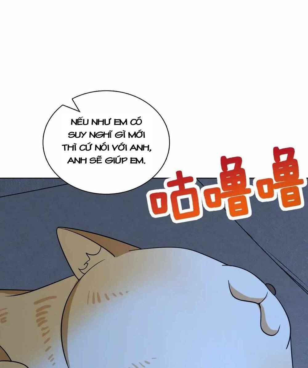 Bà Xã Nhà Tôi Đến Từ Ngàn Năm Trước Chapter 113 - Trang 2