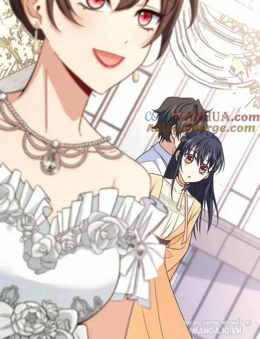 Bà Xã Nhà Tôi Đến Từ Ngàn Năm Trước Chapter 233 - Trang 2