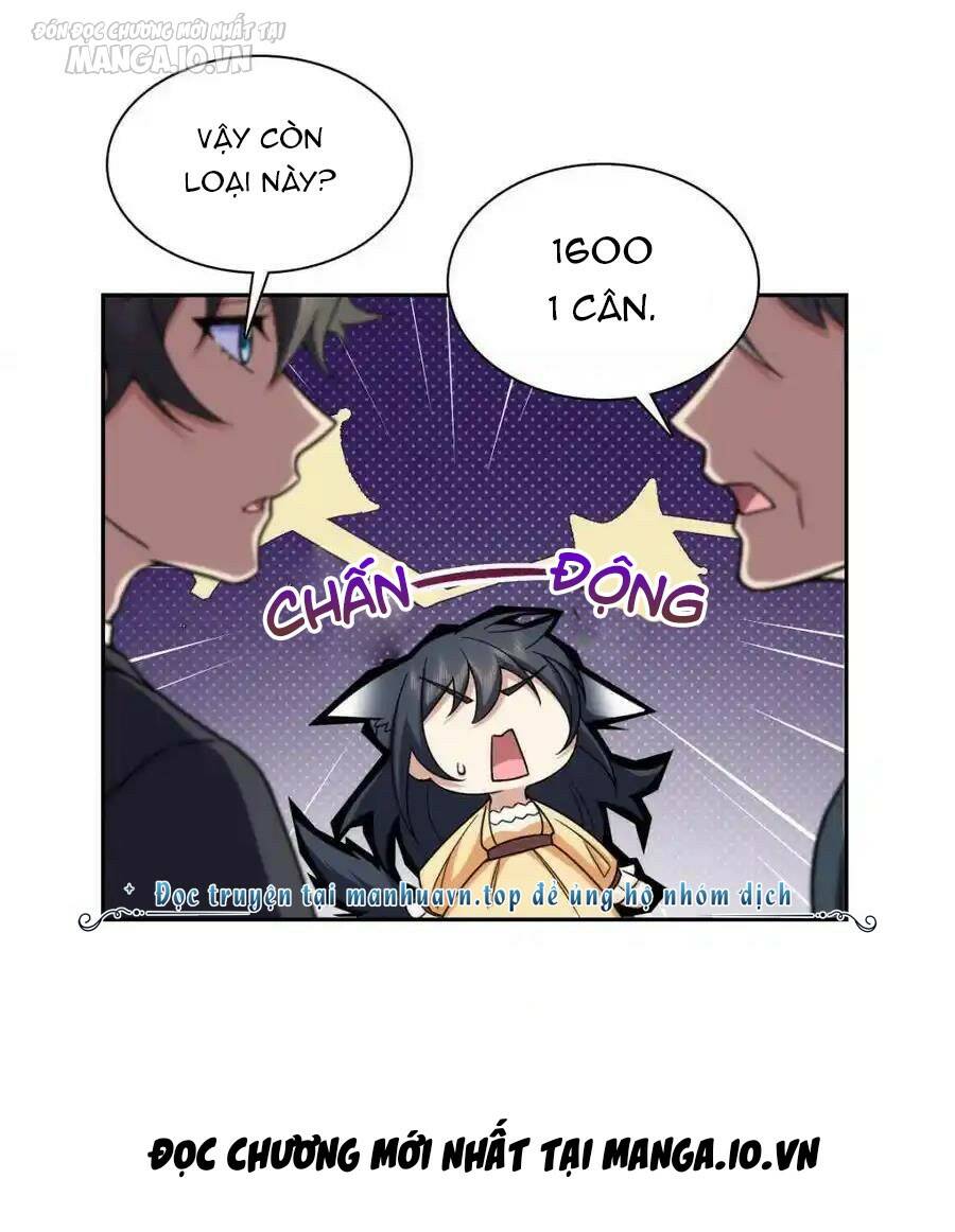 Bà Xã Nhà Tôi Đến Từ Ngàn Năm Trước Chapter 235 - Trang 2