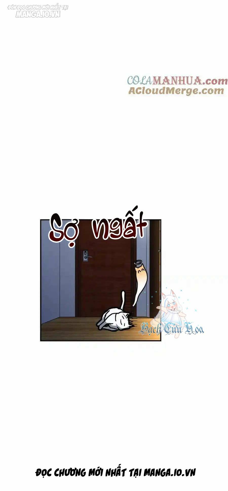 Bà Xã Nhà Tôi Đến Từ Ngàn Năm Trước Chapter 238 - Trang 2