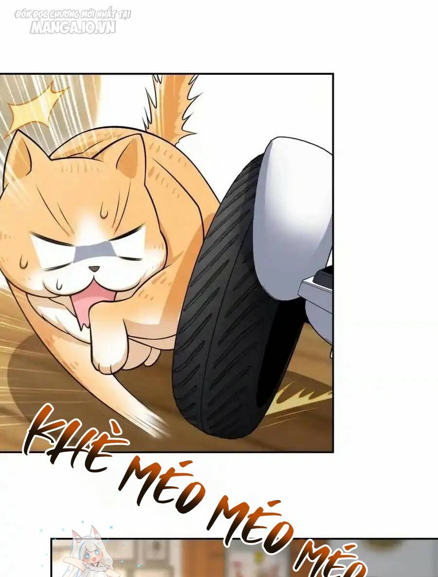 Bà Xã Nhà Tôi Đến Từ Ngàn Năm Trước Chapter 244 - Trang 2