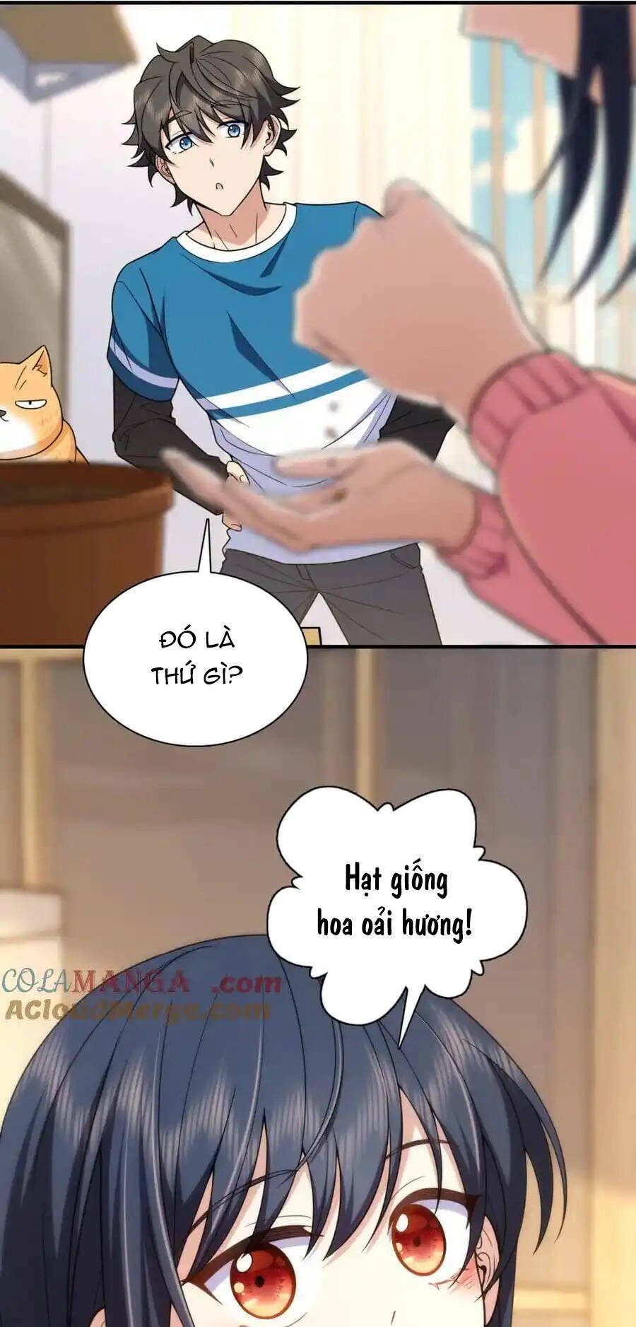 Bà Xã Nhà Tôi Đến Từ Ngàn Năm Trước Chapter 252 - Trang 2