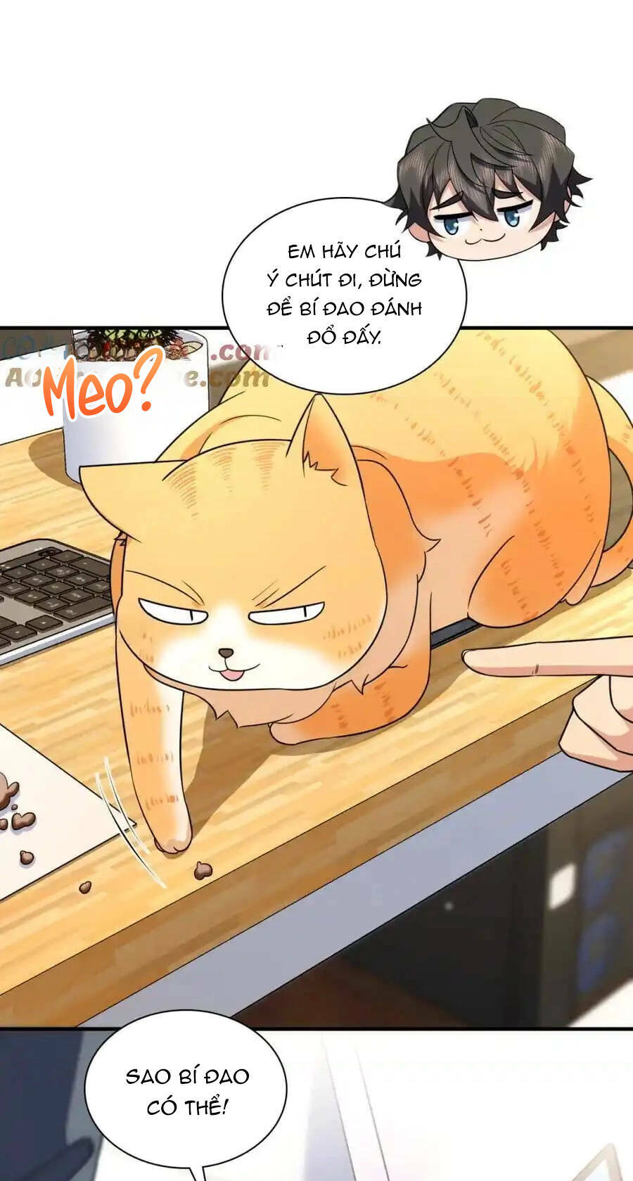 Bà Xã Nhà Tôi Đến Từ Ngàn Năm Trước Chapter 252 - Trang 2