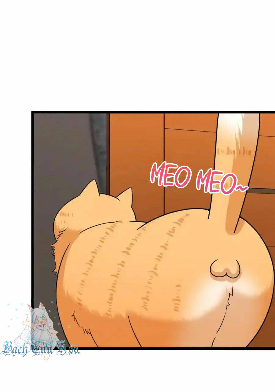 Bà Xã Nhà Tôi Đến Từ Ngàn Năm Trước Chapter 255 - Trang 2