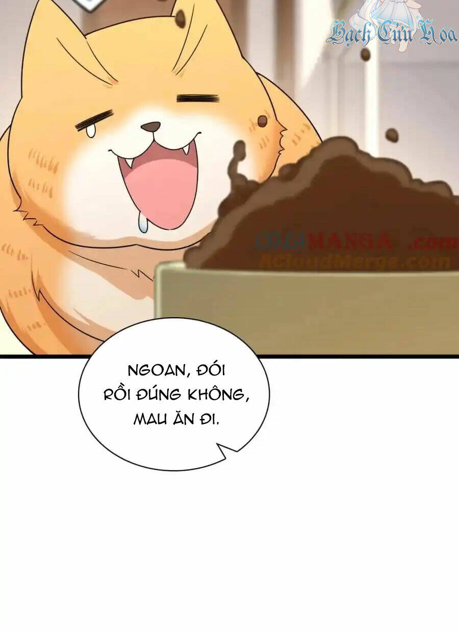 Bà Xã Nhà Tôi Đến Từ Ngàn Năm Trước Chapter 255 - Trang 2