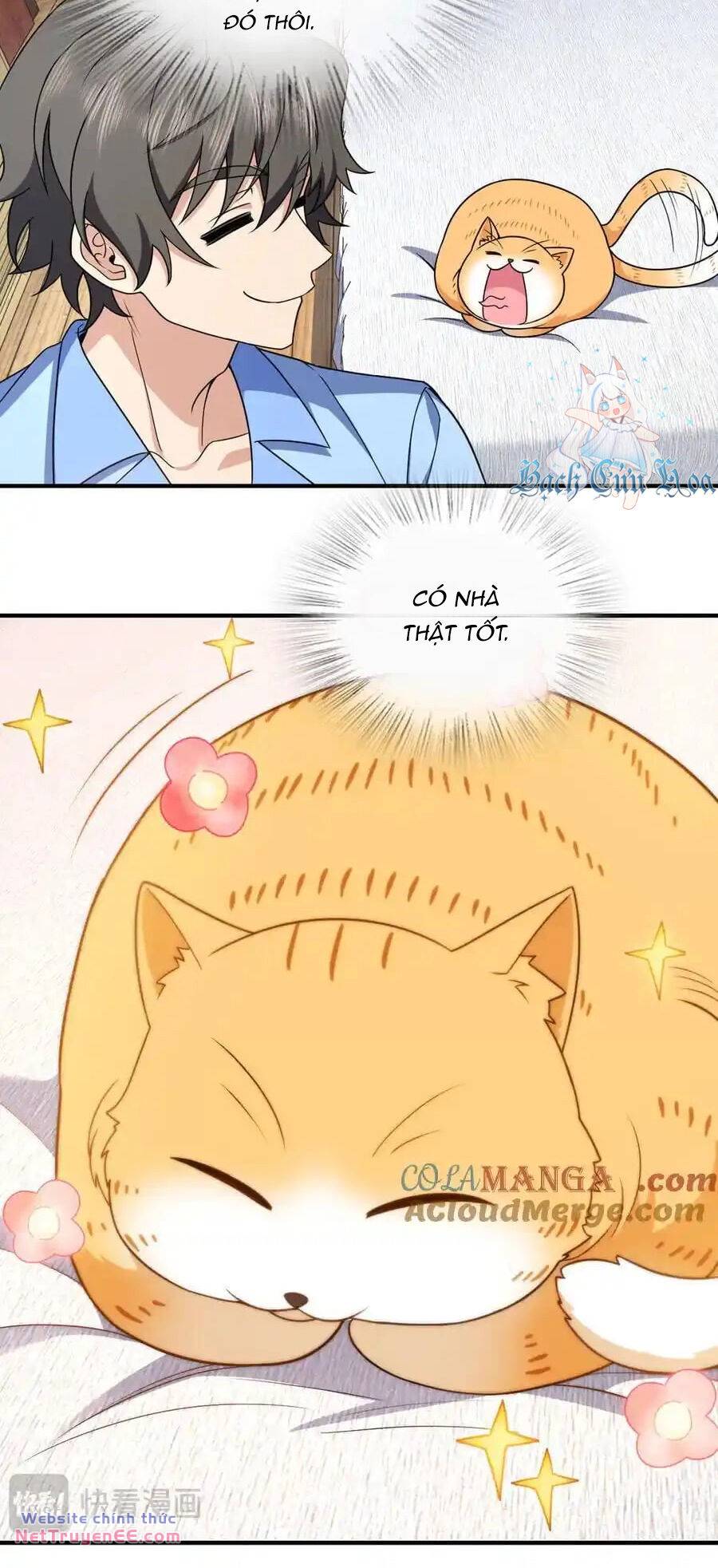 Bà Xã Nhà Tôi Đến Từ Ngàn Năm Trước Chapter 264 - Trang 2