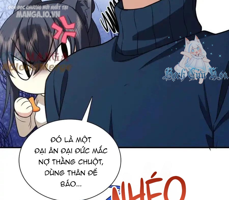 Bà Xã Nhà Tôi Đến Từ Ngàn Năm Trước Chapter 268 - Trang 2