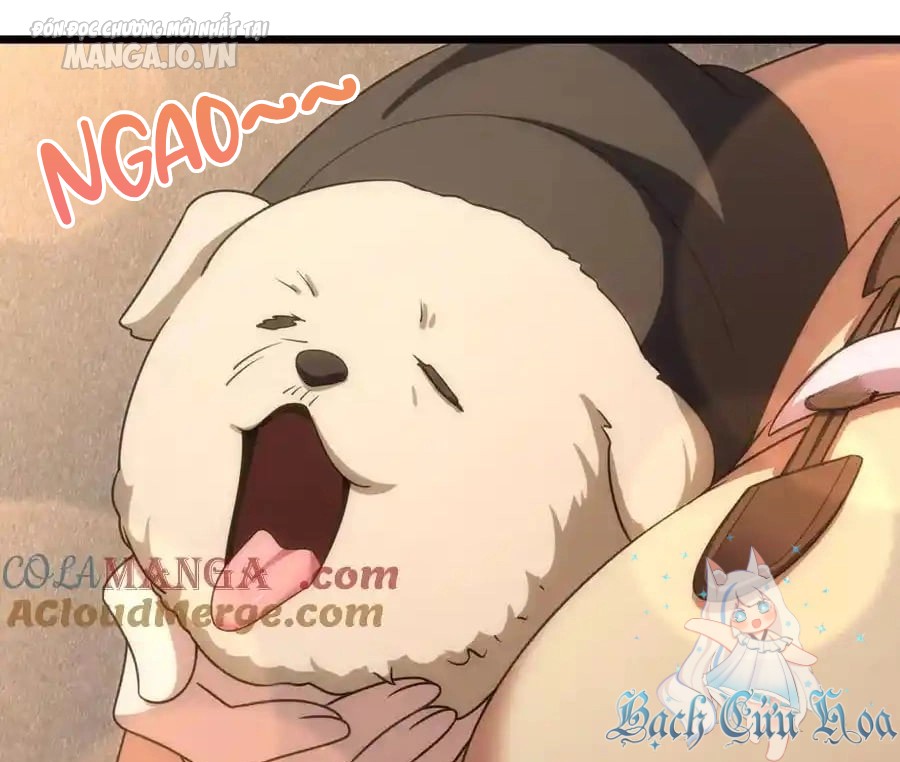 Bà Xã Nhà Tôi Đến Từ Ngàn Năm Trước Chapter 270 - Trang 2