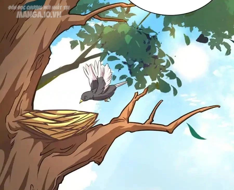 Bà Xã Nhà Tôi Đến Từ Ngàn Năm Trước Chapter 273 - Trang 2