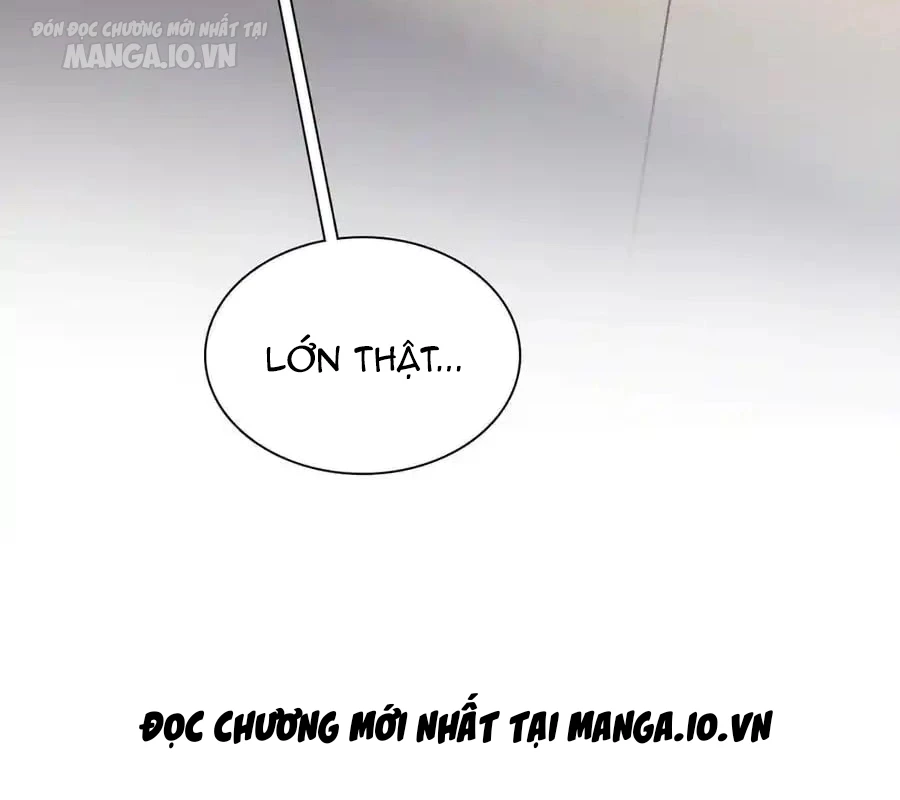 Bà Xã Nhà Tôi Đến Từ Ngàn Năm Trước Chapter 274 - Trang 2