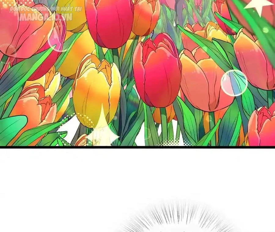 Bà Xã Nhà Tôi Đến Từ Ngàn Năm Trước Chapter 277 - Trang 2