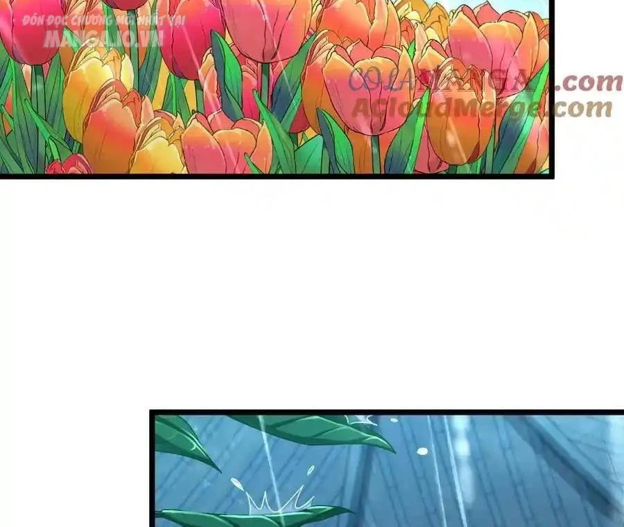 Bà Xã Nhà Tôi Đến Từ Ngàn Năm Trước Chapter 277 - Trang 2